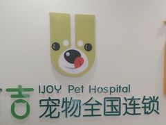-艾吉宠物医院·疑难杂症转诊中心·猫友好(碧江路院)