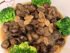 -和乐喜宴海鲜酒家(骏荣广场店)