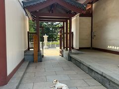 -横山寺