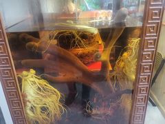 -山城正宗集安高丽火盆