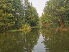 -运河游船(武林门码头)