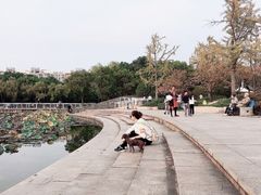 -新江湾城公园