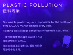 -新加坡海洋生态馆