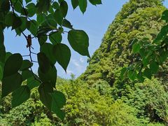 -秦岭风景区