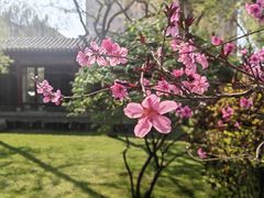 -碑林公园