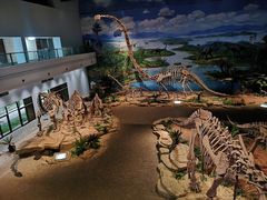 -自贡恐龙博物馆