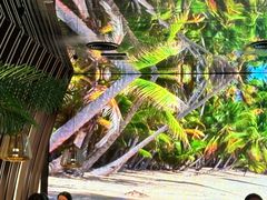 -大头椰·椰子鸡火锅(南宁万象城店)