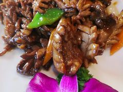 -宝发园名菜馆