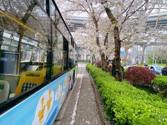 -南浦大桥长途旅游客运站
