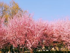 -白塘生态植物园