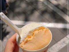 -Dip in Gelato(富民路店)