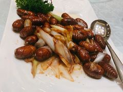 -沈阳玫瑰大酒店