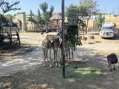 -郑州银基国际旅游度假区
