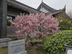 -清晏园