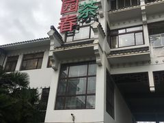 -绿园春早茶