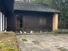 -法云古村