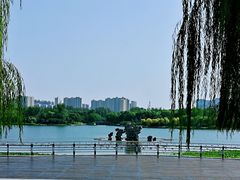 -大兴滨河森林公园