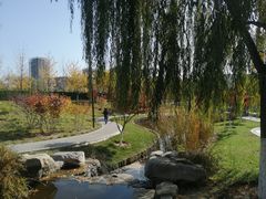-西海子公园
