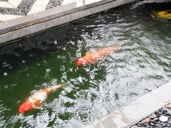 -西安市广仁寺