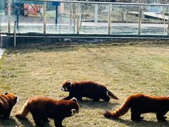 -水上乐园·欢乐世界