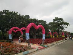 -松山湖梦幻百花洲
