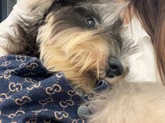 -怪兽屋·羊驼·猫咖·狗咖(俊华广场店)