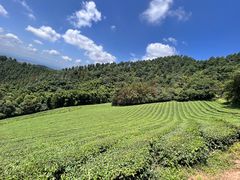 -敬亭山风景名胜区