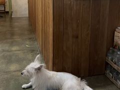 -绿房子方寸咖啡(星海名城店)