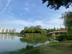 -南翔镇银翔湖公园