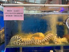 -明记烧鱼美味店