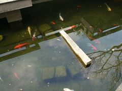 -宝界山林公园