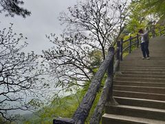 -王顺山国家森林公园
