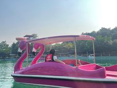 -盈香心动乐园