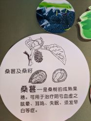 -太湖雪蚕桑文化园
