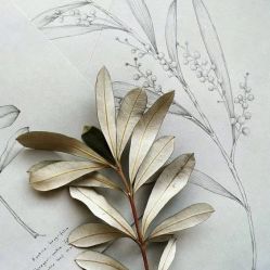 -花轿喜屋婚礼策划