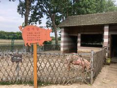 -太阳岛度假酒店