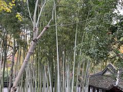 -秋霞圃