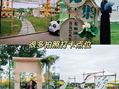 -天津东丽湖风景区