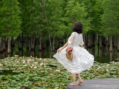 -白鹭湾湿地公园