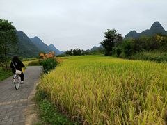 -生态苑农庄(十里画廊遇龙河店)