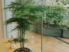 -左悦·艾灸调理·推拿按摩·精油SPA(卓悦汇店)