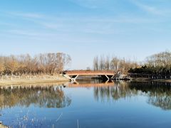 -大兴滨河森林公园