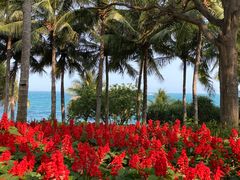 -三亚南山文化旅游区