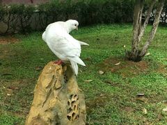 -敬亭山风景名胜区-弘愿寺