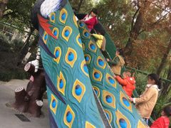 -成飞公园