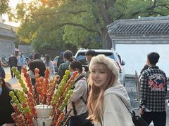-北京国子监胡同