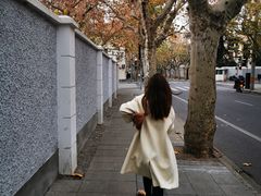 -上海安亭别墅花园酒店