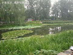 -紫竹院公园冰场