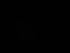 -新白鹿餐厅(百联中环店)