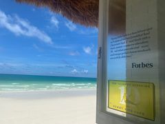 -The Sunny Side Cafe Station 1
